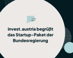 startup-paket-blogartikel